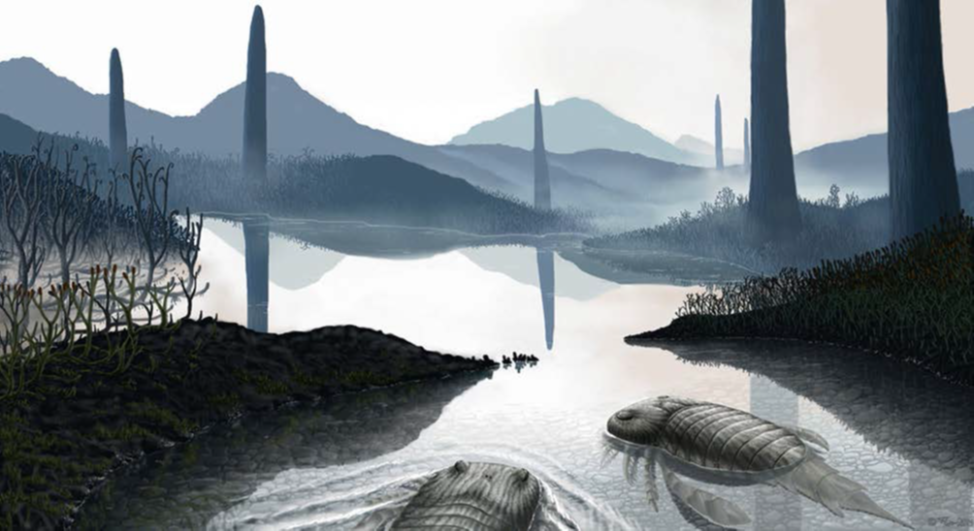 Геотоксикология, как фактор глобальной эволюции