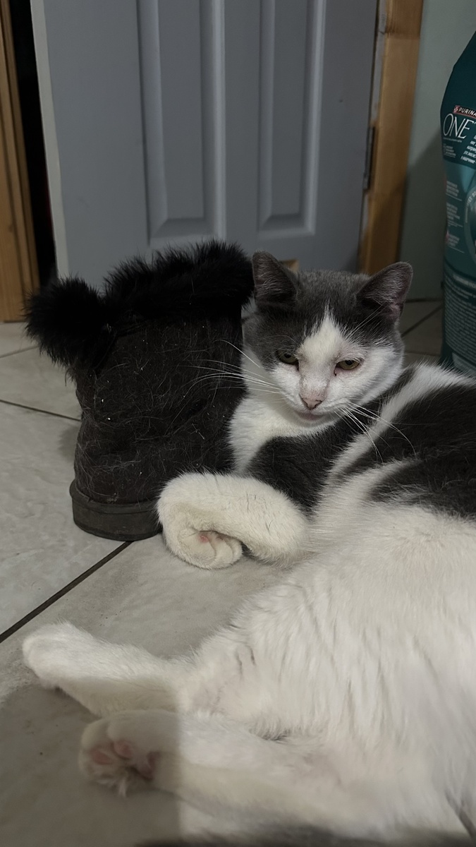 Буса и любимый угг