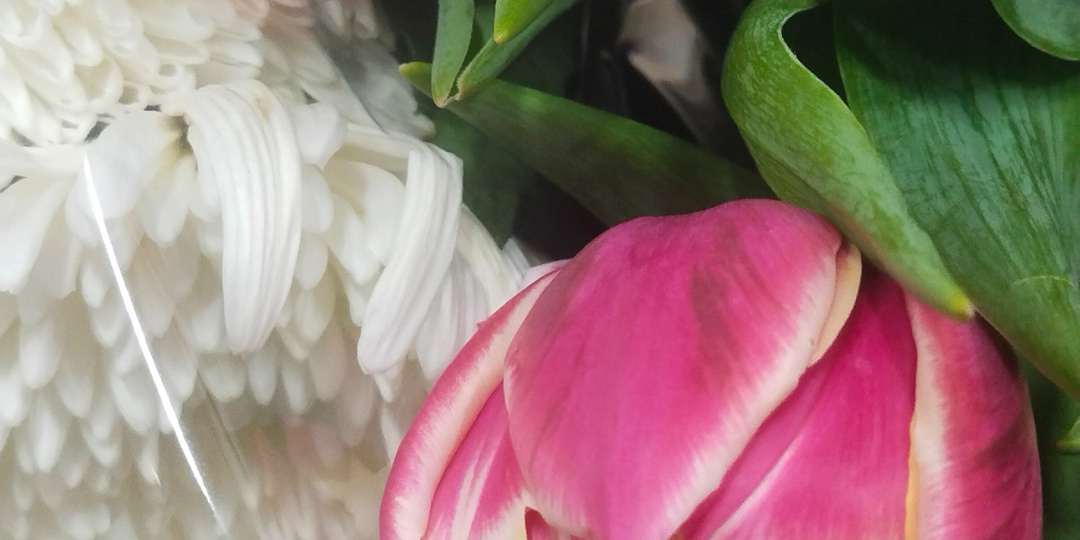 Оттолкнула мужчину. А, выходит, зря