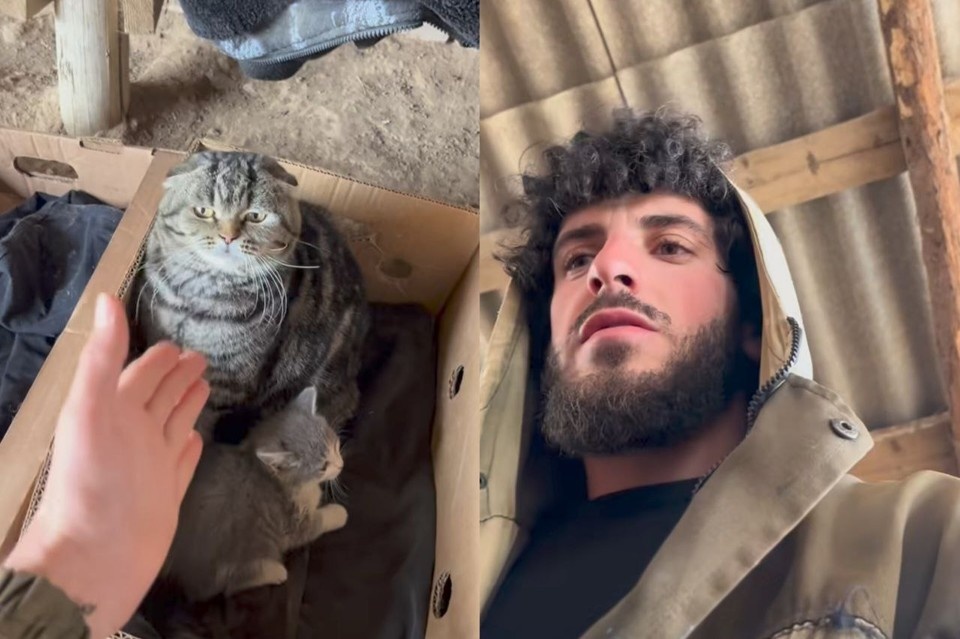    Фермер рассказывает о собственном кошачьем «родильном доме». Фото: соцсети героя публикации
