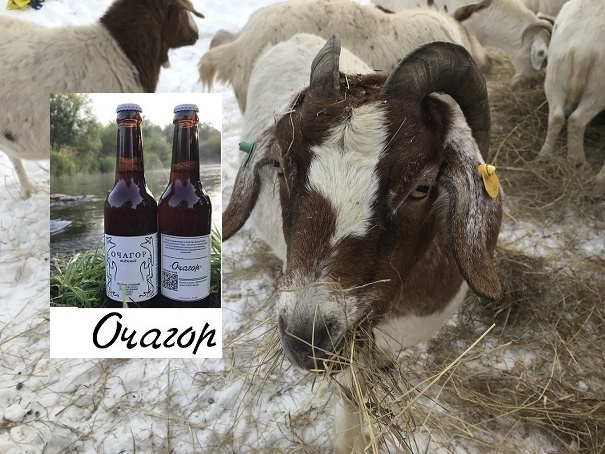 Выжить любой ценой