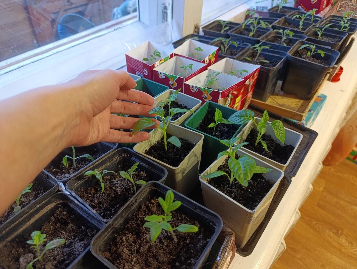    Архив редакции