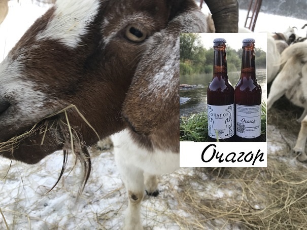 Продолжение выживания