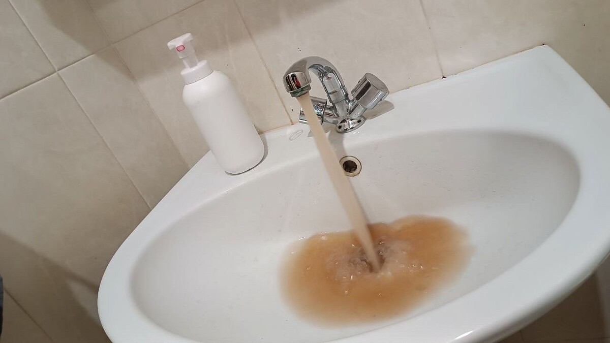    Фото: телеканал «Краснодар»