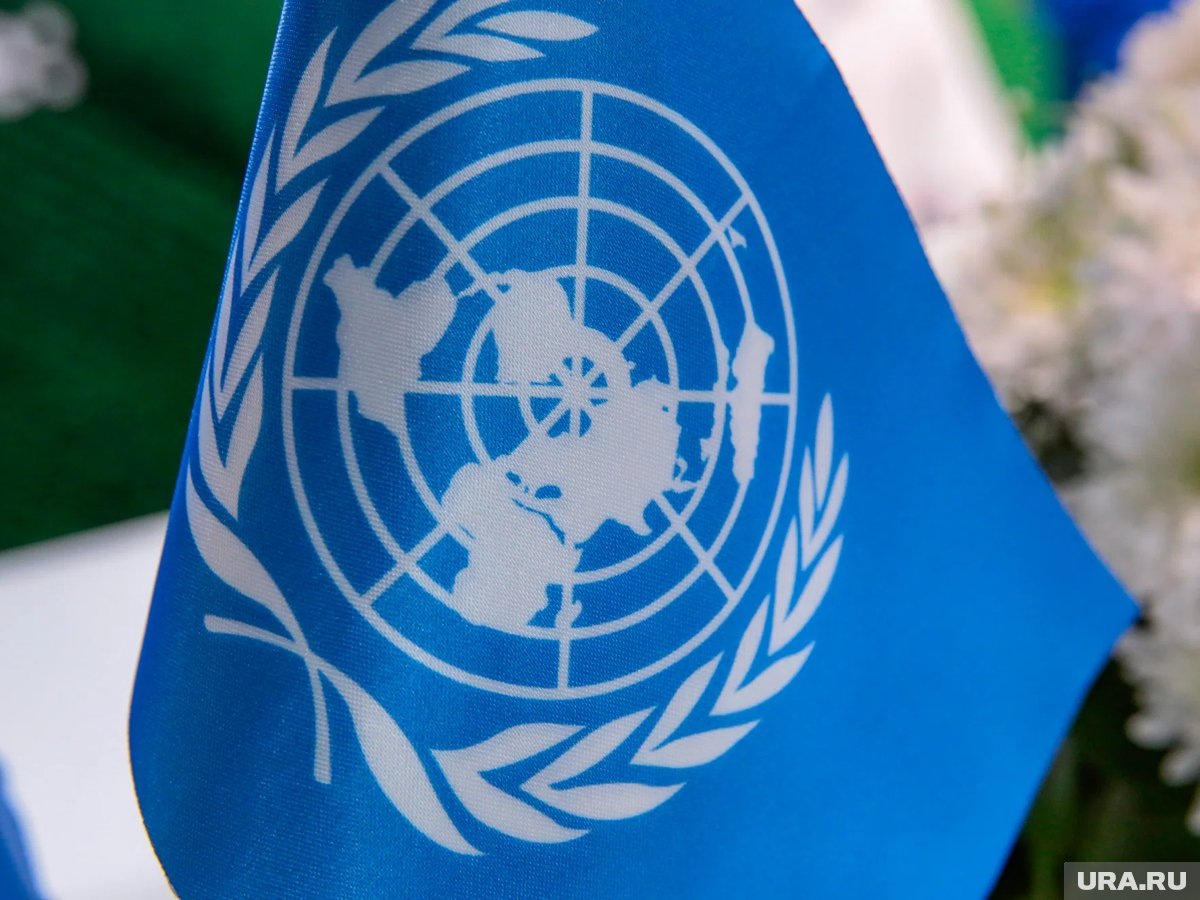     В ООН нужна реформа для права вето в Совете Безопасности