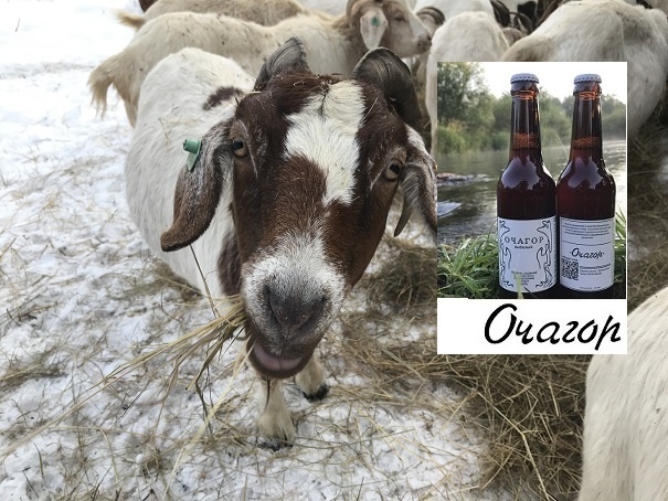 Привезли очередную партию сена