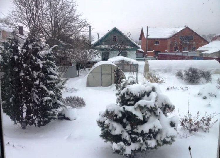 Одна теплица лопнула под снегом: Очищаем теплицу из поликарбоната от снега