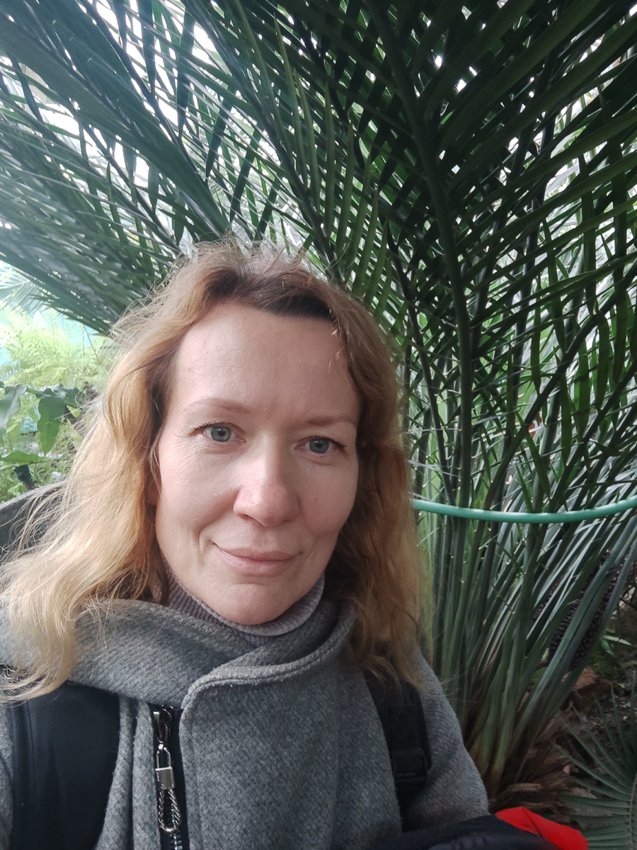 Питер, оранжерея, тропический мартшрут, цикас.