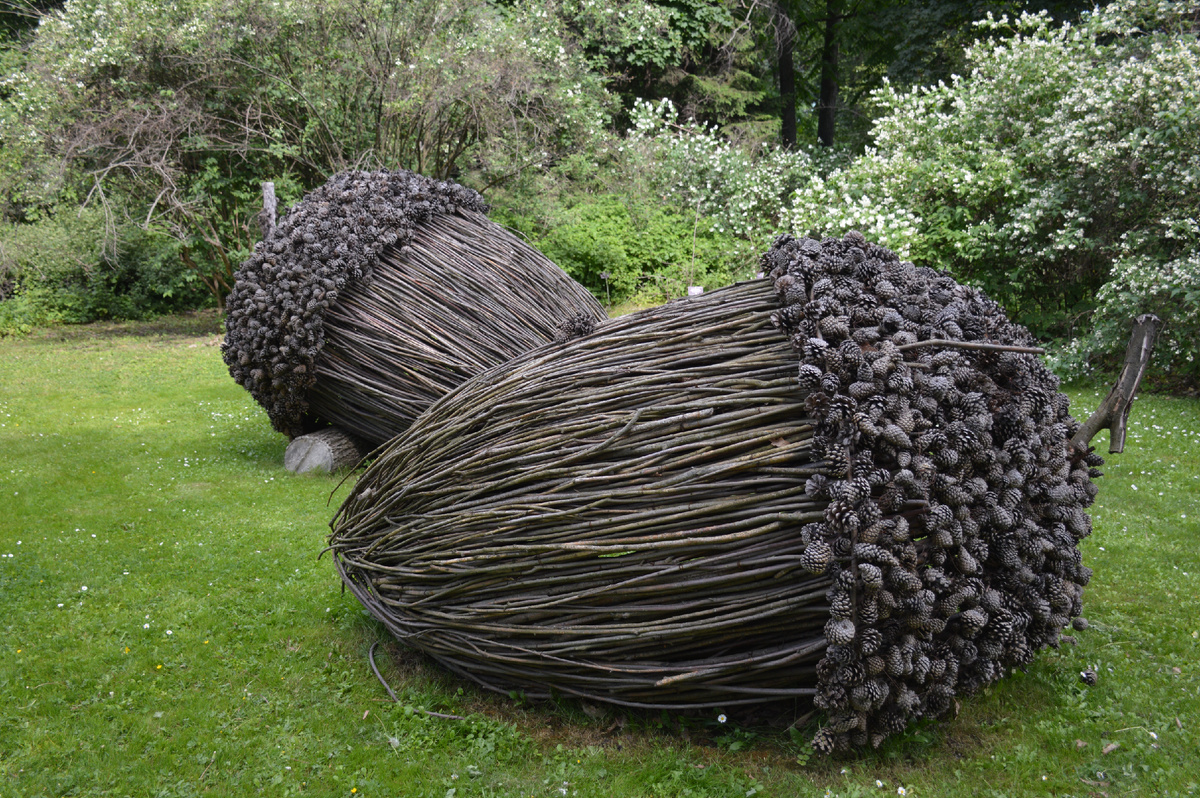 На лужайке "Аптекарского огорода". Все фотографии в статье мои