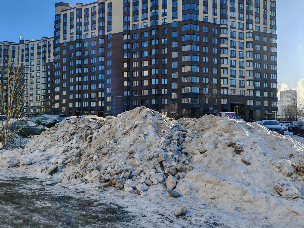 Фото дня. 31.01.2026.