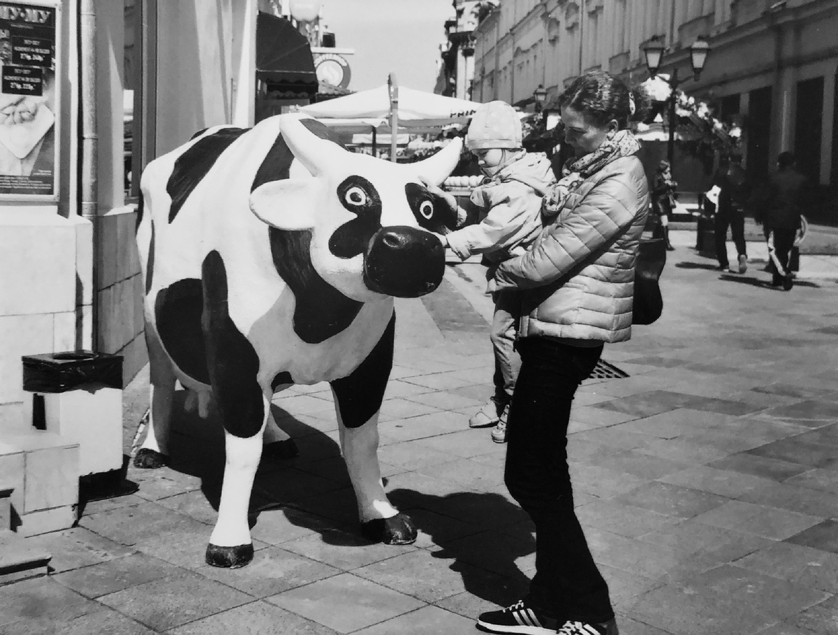 “Му-Му». Черно-белая пленка, Super Ikonta 4.