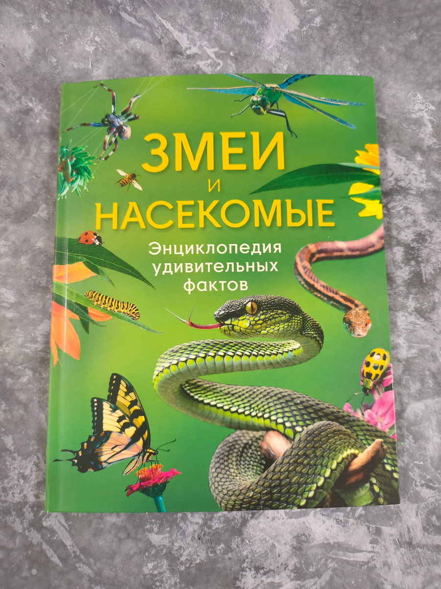 Энциклопедия удивительных фактов. Змеи и насекомые.