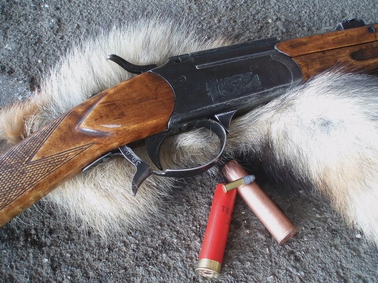 Из вполне свободного доступа.