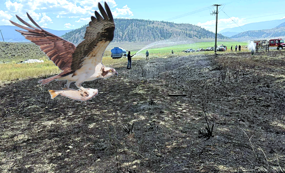 Последствия пожара в Эшкрофте.