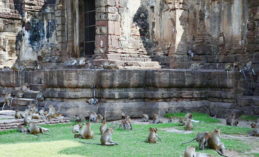 Храмовый комплекс Пранг Сам Йот в Лопбури, фото: stern.de