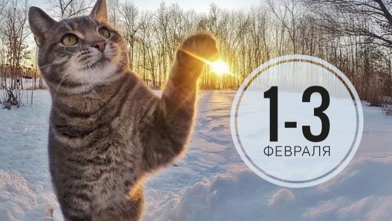 Нумерологический маршрут на 1-3 февраля 2026: От стабильности к гармонии