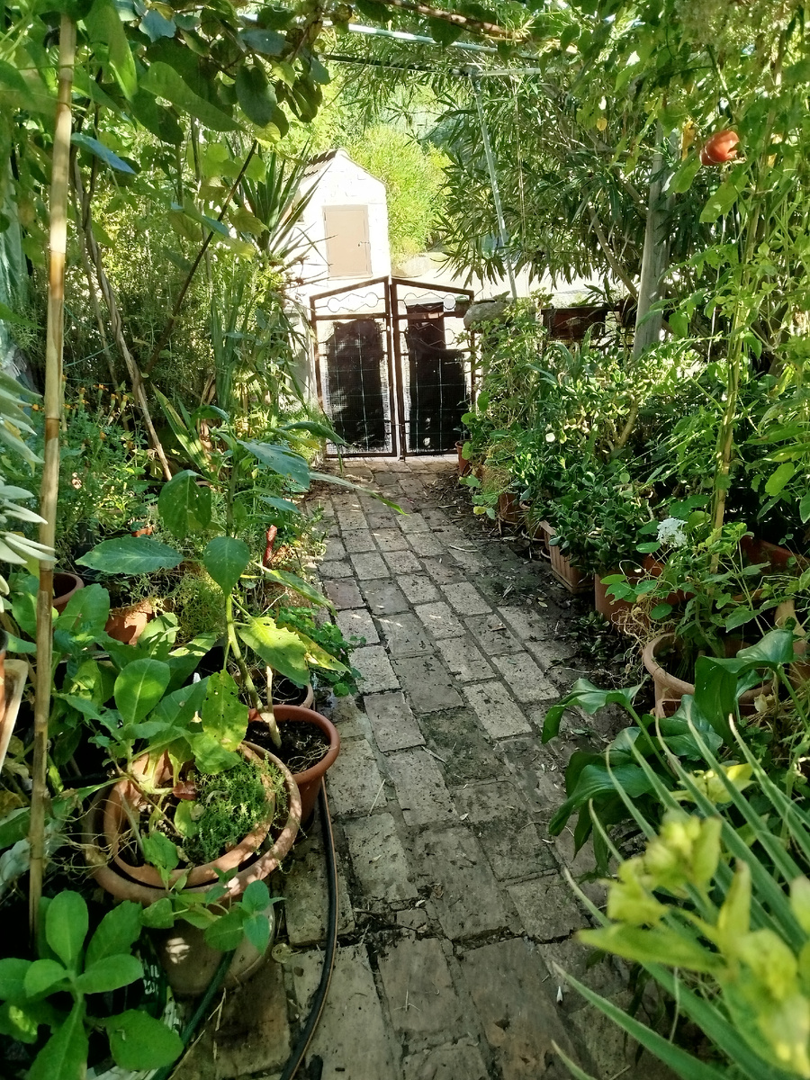 Фото автора. Вот так выглядел передний двор в октябре 2025г.