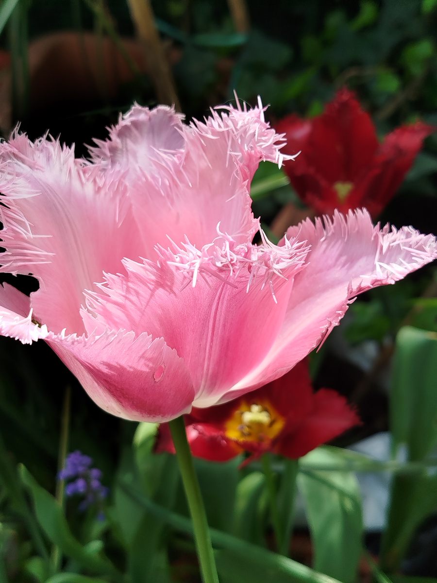 Фото автора. Апрель 2025г.