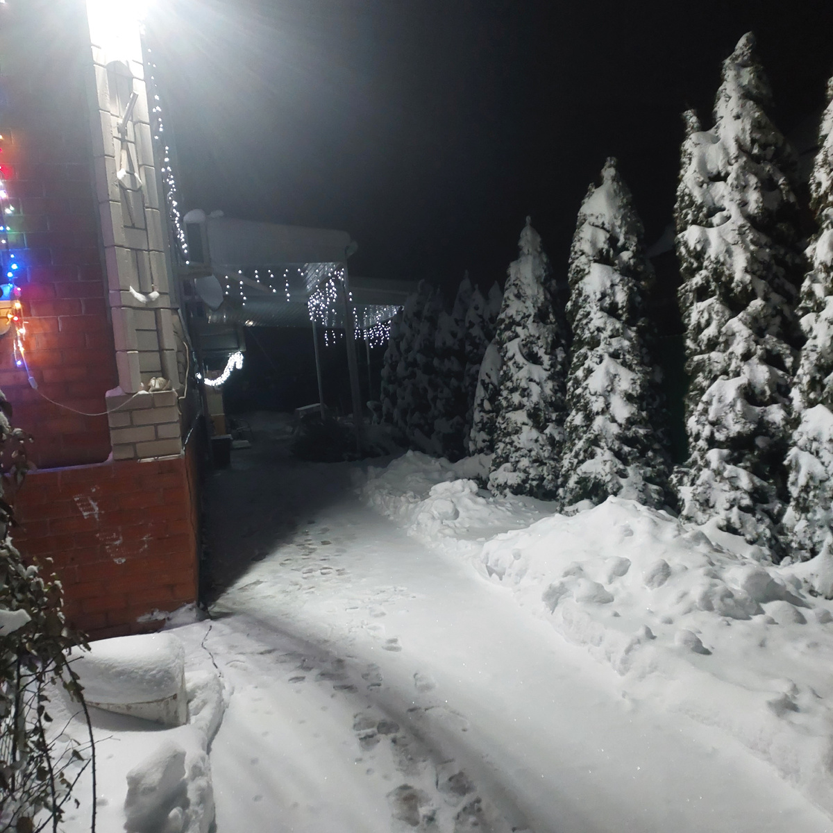 Дорожка к дому