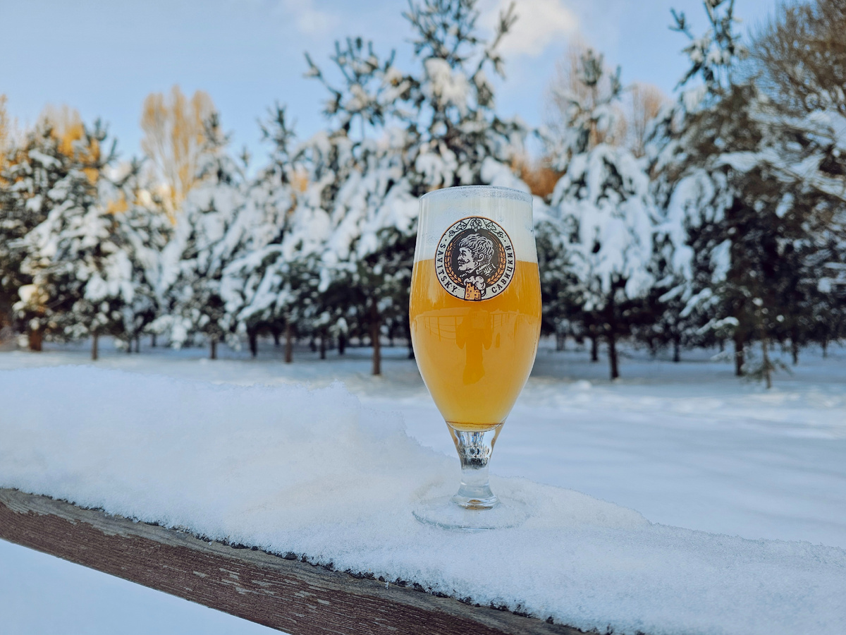 Пиво, фото автора