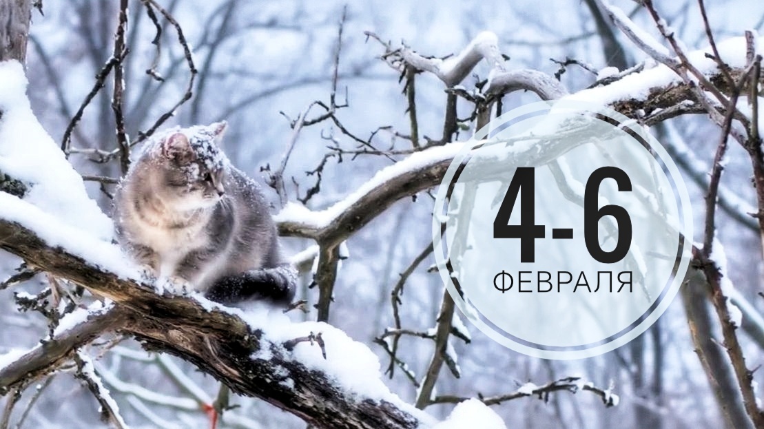 Нумерологический прогноз на 4-6 февраля 2026 года