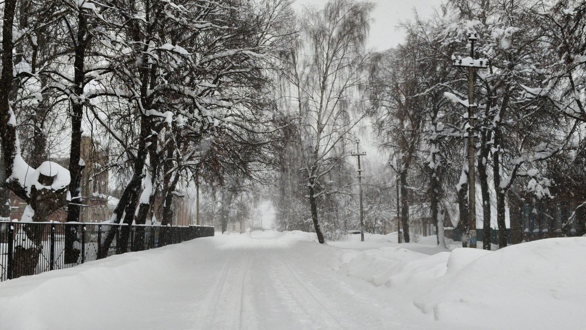 Фото автора. Январь