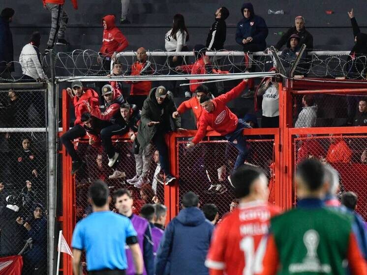     фото: IMAGO / www.imago-images.de / Global Look Press