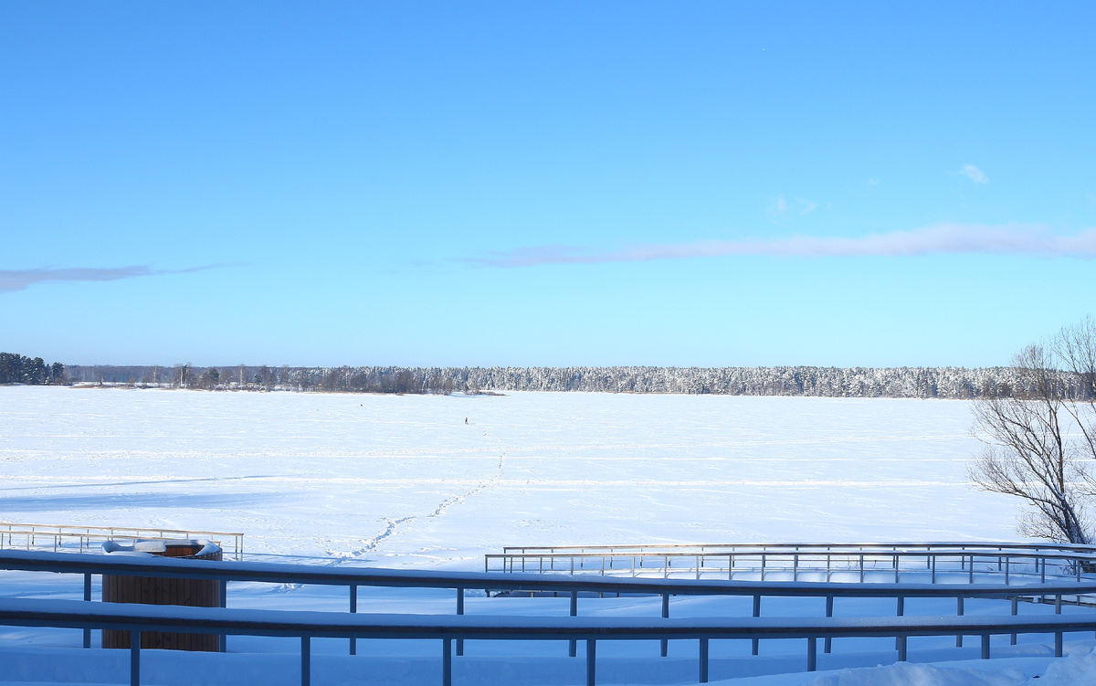 Зима 2025-26 г.г. в самом разгаре, фото автора