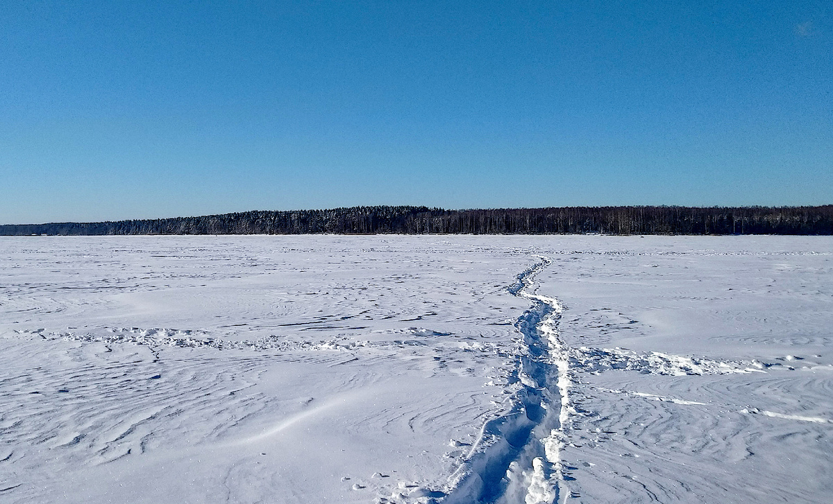Зима 2025-26 г.г. в самом разгаре, фото автора