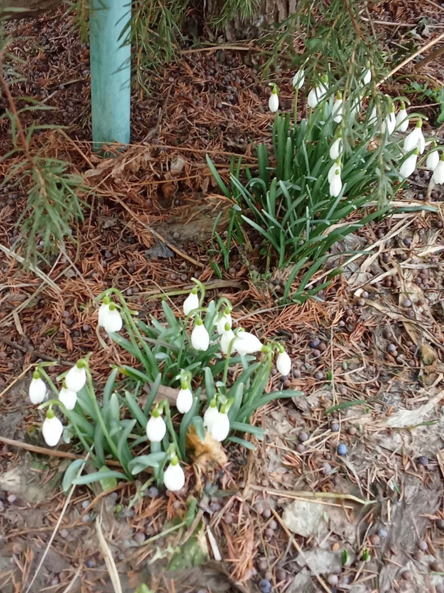 Март 2025 года. Личное фото