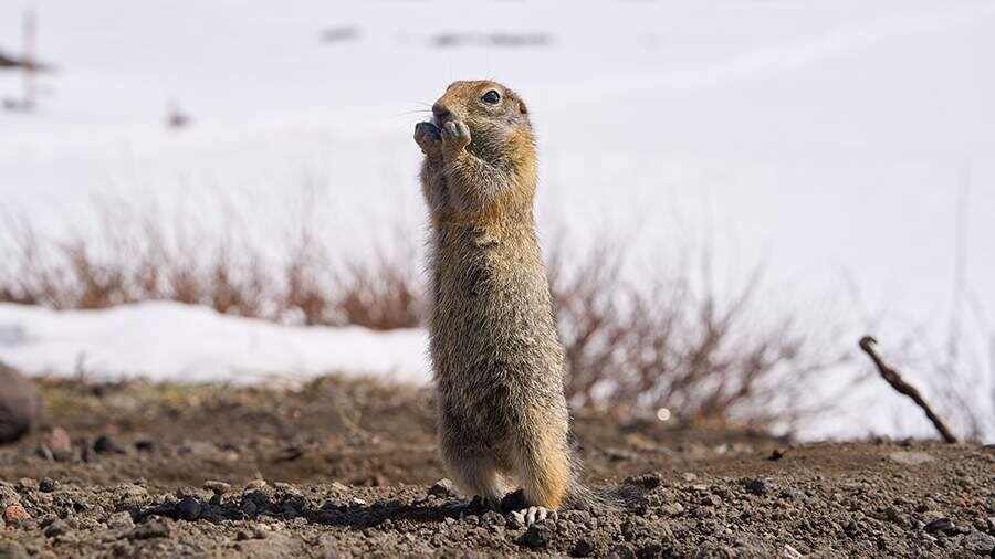    Фото: Global Look Press/Guo Feizhou