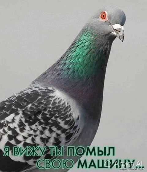 -59