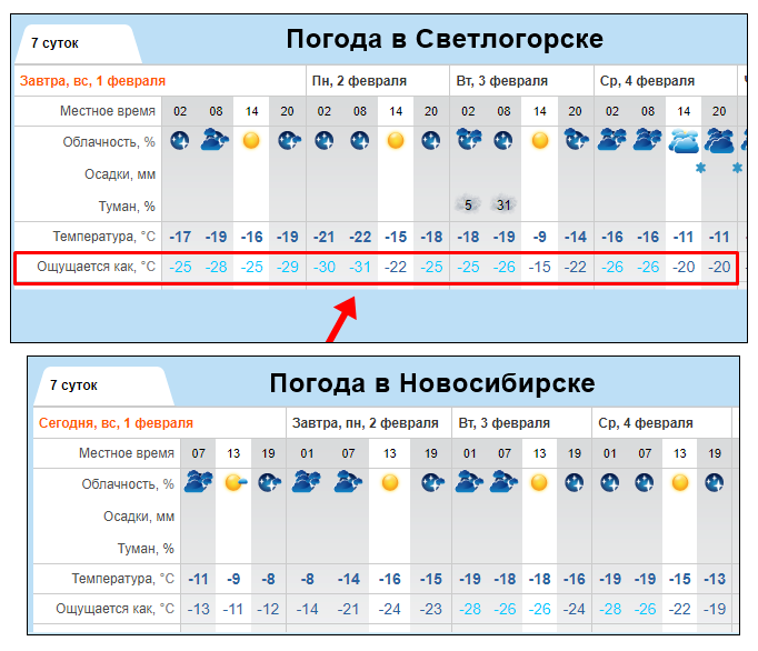 Скриншоты с прогнозами погоды на ближайшие дни