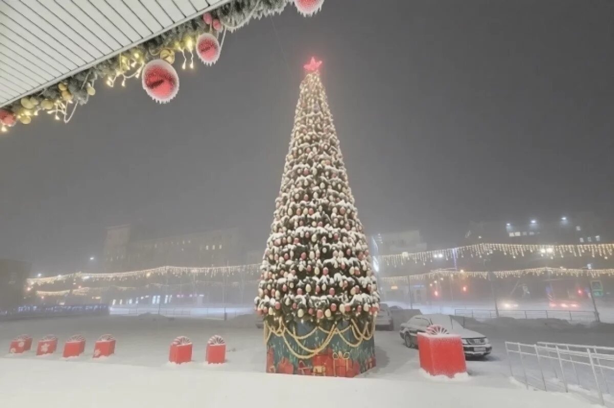    Климатолог спрогнозировал погоду в Новосибирске на февраль