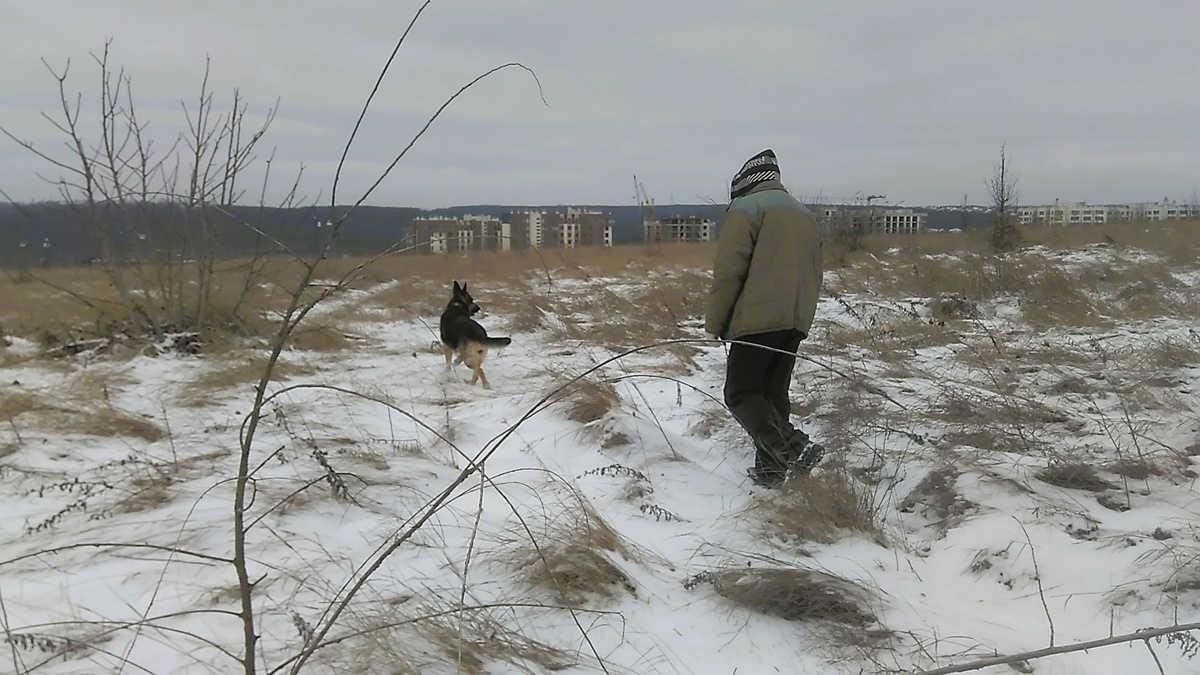 Фото автора