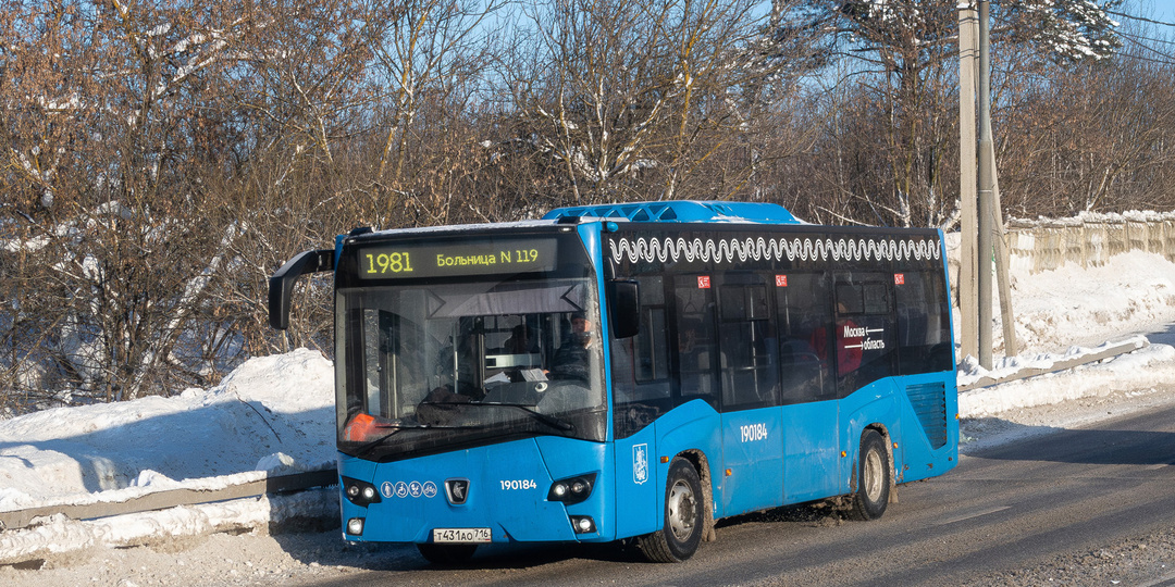 Автобусный парк в Москве станет разнообразнее