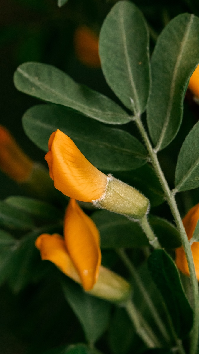 Фото: Локотьков Алексей   https://vk.com/lokotkov82 