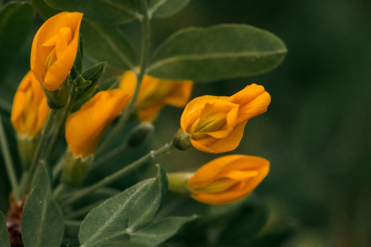 Фото: Локотьков Алексей   https://vk.com/lokotkov82 