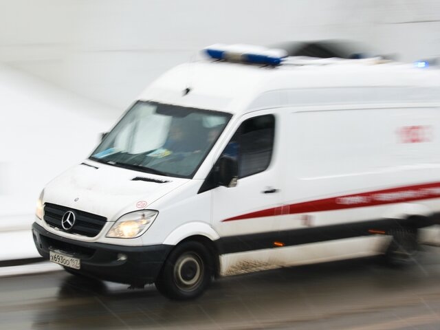    Фото: Москва 24/Антон Великжанин