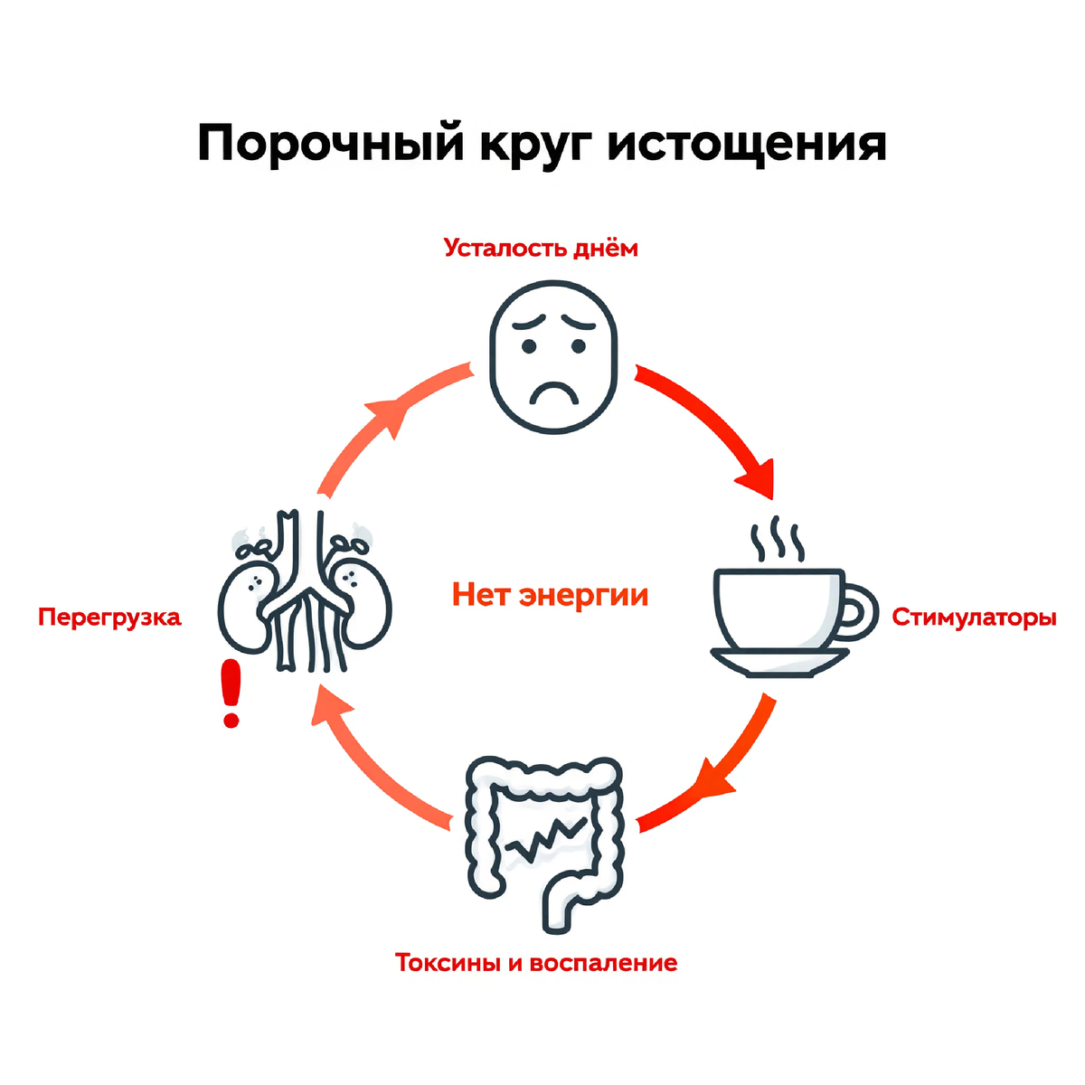 «Замкнутый круг, из которого не вырваться силой воли. Усталость требует кофе → кофе истощает надпочечники → повреждённый кишечник производит больше токсинов → надпочечники работают на износ → усталость возвращается с новой силой.»