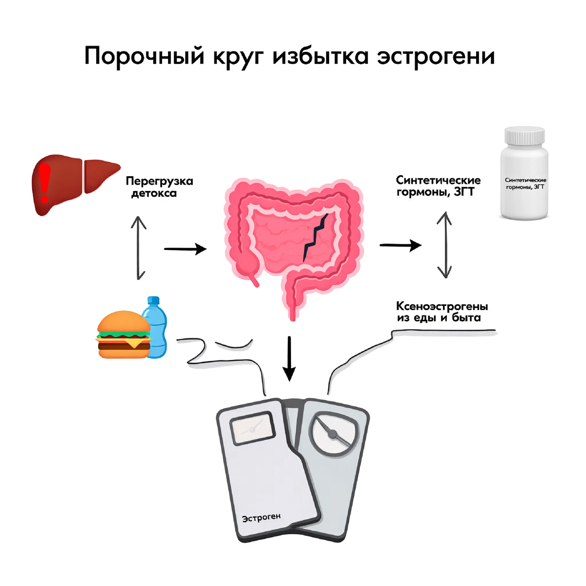 «Эстрогенное доминирование — бич современности. Его причина — тройной удар: больной кишечник не выводит гормоны, печень перегружена, а извне мы получаем тонны химических «двойников» эстрогена из пластика и косметики.»