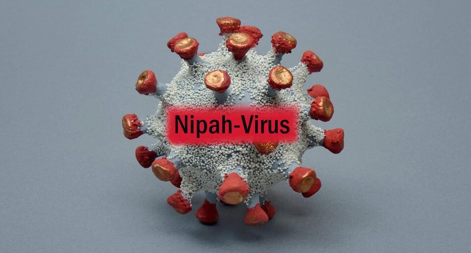    IMAGO/Sascha Steinach / www.globallookpress.com