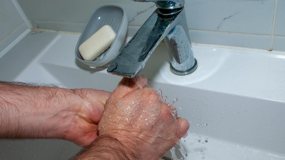    Фото:Svetlana Vozmilova/Global Look Press