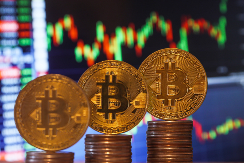    : Сергей Булкин/NEWS.ru