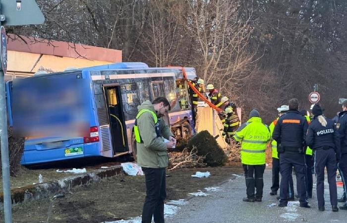 Обложка © Х / pnp