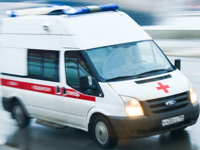    Фото: Москва 24/Антон Великжанин