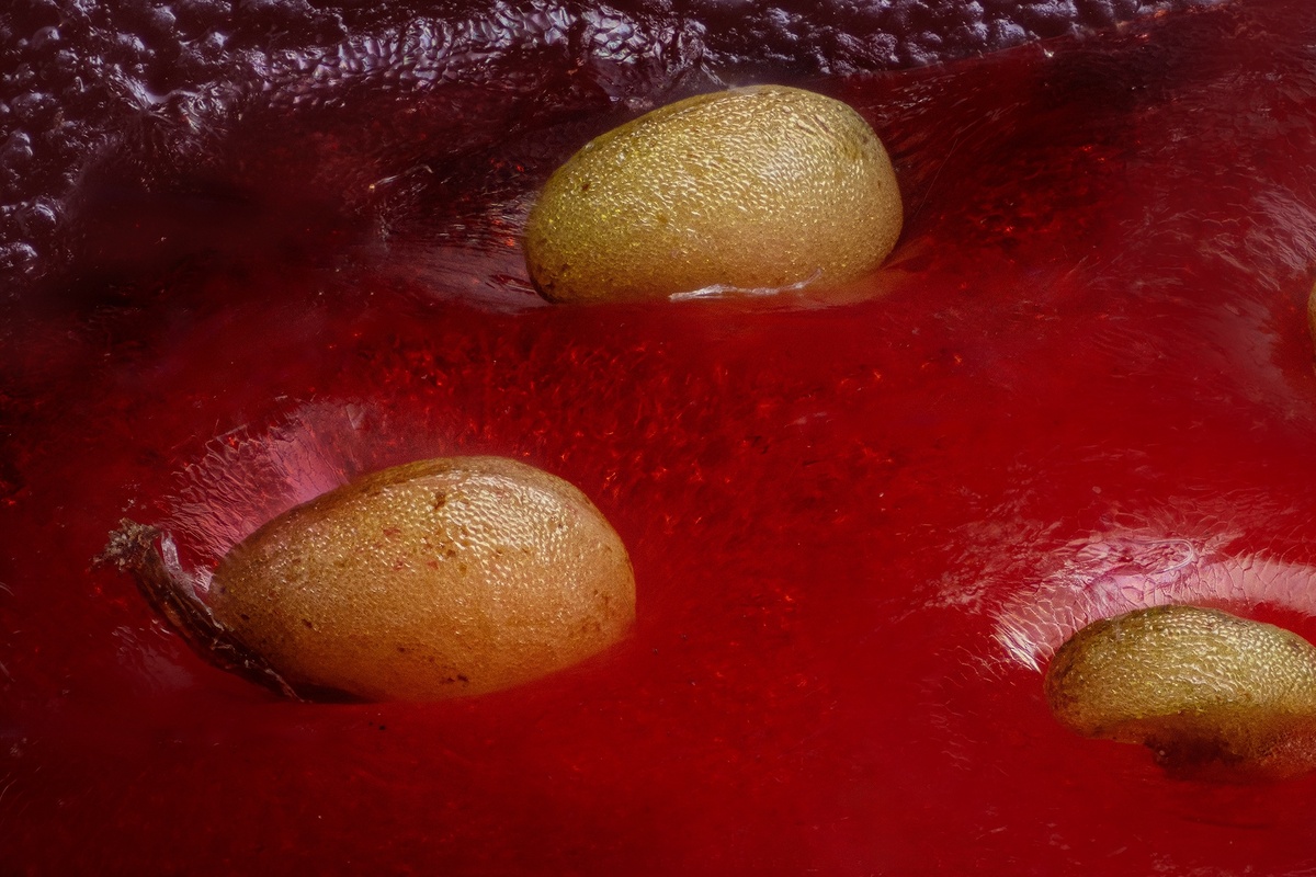 Фото: Локотьков Алексей   https://vk.com/lokotkov82 