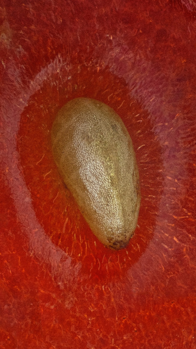 .Фото: Локотьков Алексей   https://vk.com/lokotkov82