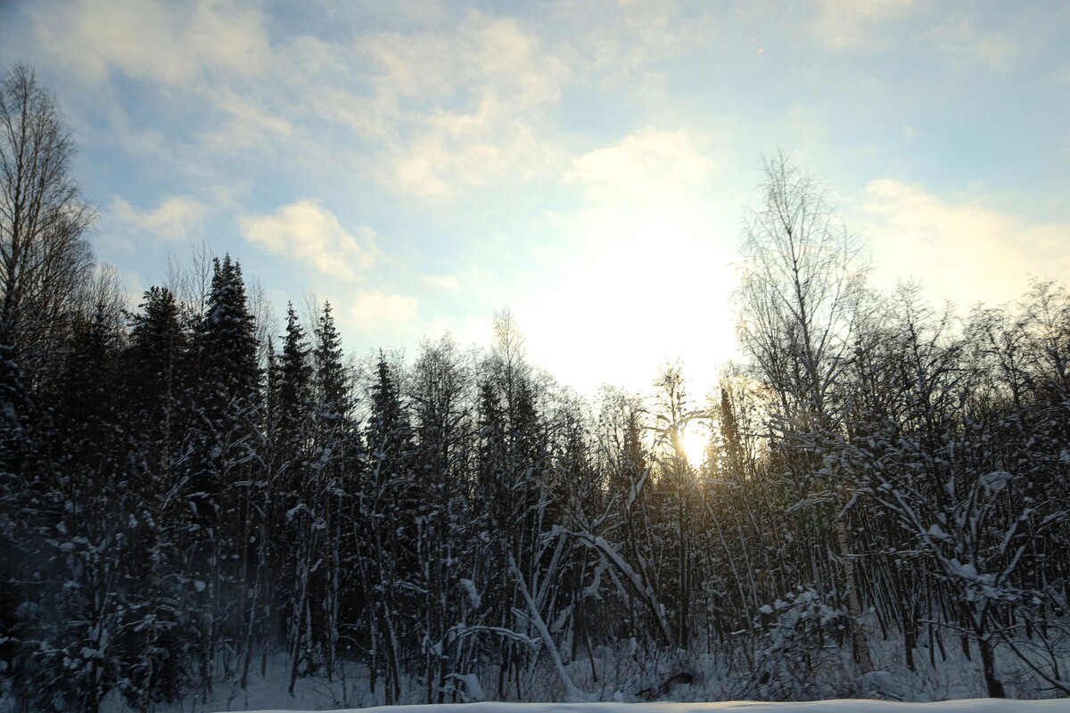     / Источник: © Elena Mayorovа/Global Look Press