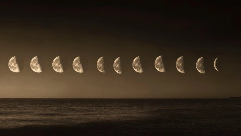    Магия лунных ритмов: февральский ключ к урожаю Фото: @freepik / ru.freepik.com